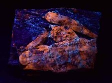 Unique Fluorescent Big Size Afghanite Crystal On Matrix 329 gram picture