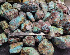 RARE Large Natural Bisbee Arizona Turquoise Rough Nuggets Half Pound picture