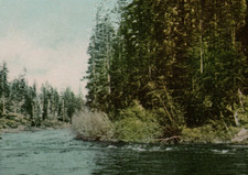 Truckee River California Postcard Ogden Route Trains S P RR Edward H. Mitchell picture