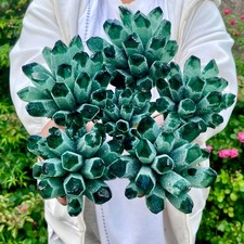 6.3LB New find green phantom quartz crystal cluster mineral specimen picture