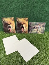 Brand New Sierra Club Postcards Animals Wolf More picture