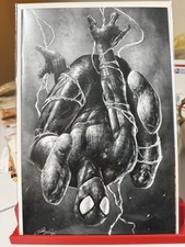 AMAZING SPIDER-MAN #30 - JOHNNY DESJARDINS - VIRGIN SKETCHED picture