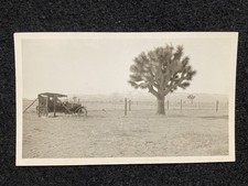 Joshua Tree California CA Automobile Car Riverside Co. Antique Snapshot Photo picture