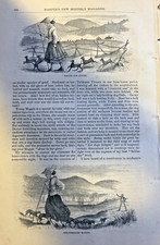 1866 Little Black Dogs of Berkshire illustrated picture