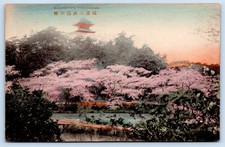 Antique Sankeien Yokohama Japan Cherry Blossoms Pagoda Postcard picture