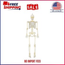 5ft Poseable LED Illuminated Skeleton, Halloween Decoration, by Way to Celebrate picture