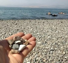 Sea of Galilee.  Holy Land PEBBLES - 