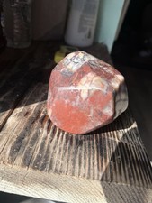 😍😍 COOL GIANT PETRIFIED FOSSIL  Body AGATIZED VERY NEAT 5 LB M Southern Cal picture