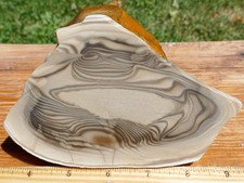 TCR Polish Flint Orb *Rough Slab 156g - Flint with Natural Orb Patterns | Poland picture