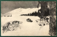 Colorado Wolves Diorama, “On the Trail of the Deer” – Museum of Natural History picture