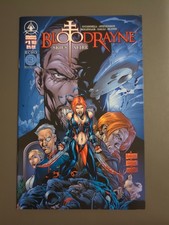 Bloodrayne Skies Afire #1 One-Shot 2005 Digital Webbing Echo 3 Worldwide  picture