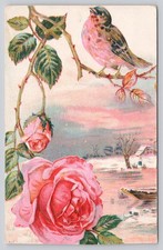 Vintage Embossed Pink Rose Bird Winter Scene Postcard Divided Back 1900s picture